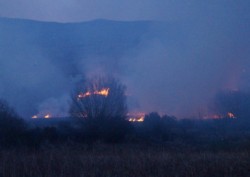 gorse-fires-Ireland-scotland-wales