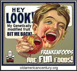 gmo-gentically-modified-organism